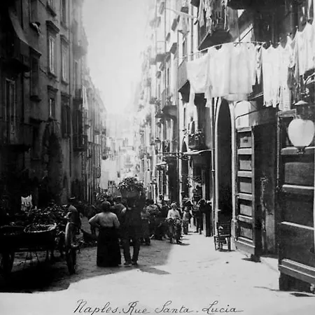 Apartamento Nase E Cane